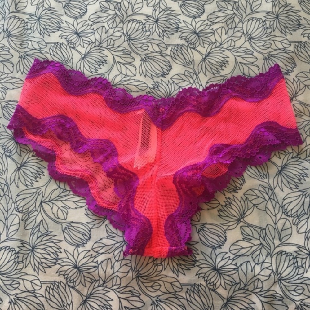 NWT - VS Cheeky Lace Mesh Panty / M